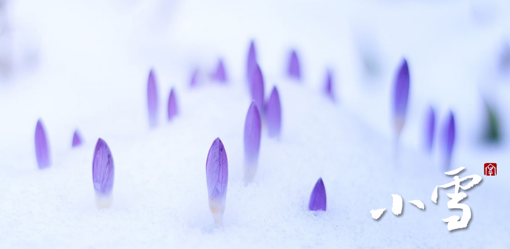 小雪