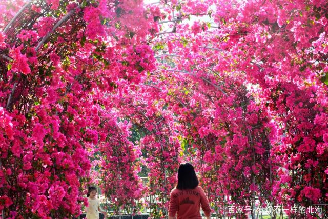 1599444652883051.jpeg 222.jpeg