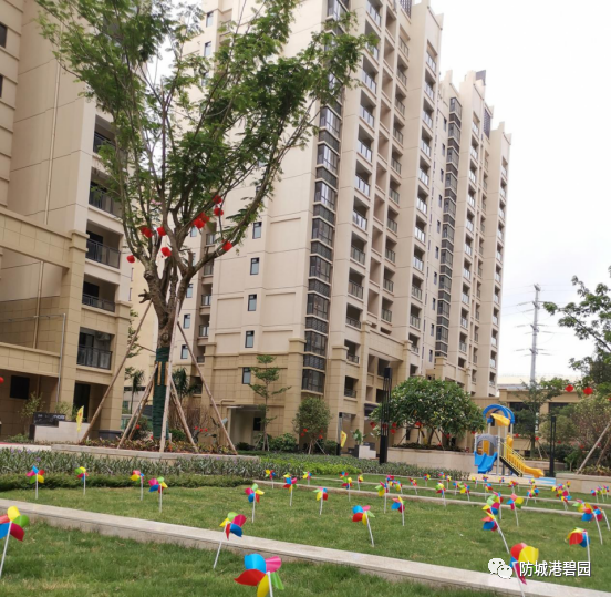 1625236500756919.png 10.png