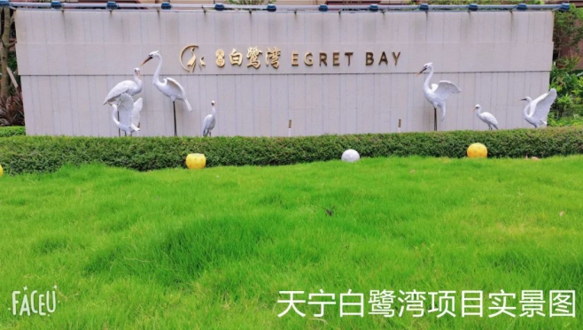 在防城港，今年三八不收礼，收礼只收……