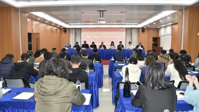 广西地市首个!北海市文艺两新发展促进会成立