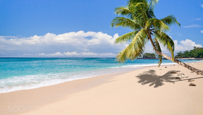 2025年3月家书|春醒防城港，共赴一场山海之约