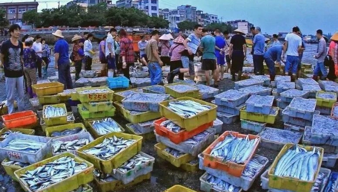 2025年8月家书|开海盛邀，共赴鲜香之约